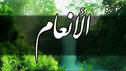 سورة الأنعام - أحمد الشافعي