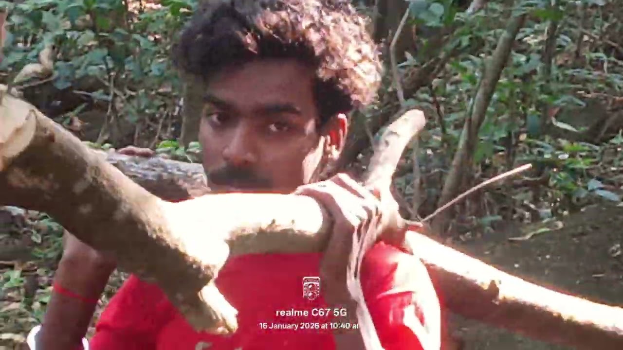 माझं गाव तिवडी ता. चिपळूण येथे रानावनात # जयभिम 