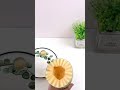 Video Image