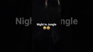 Night in Jungle 