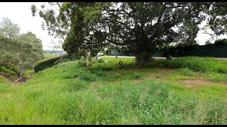 38A Falkiner Crescent, Singleton Heights NSW 2330