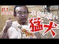 【ベスト10】本当は弱い猛犬 【※サムネイルのポーズの理由は本編でご確認ください】
