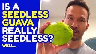 Is a seedless guava really seedless? I've always heard about this guava and finally get to test it!