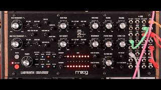 Moog Labyrinth: Patches Through The Maze