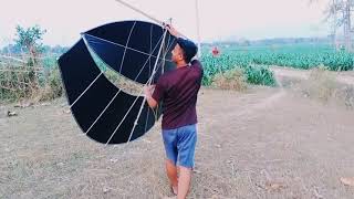 Download Lagu Alay (anak layangan) MP3