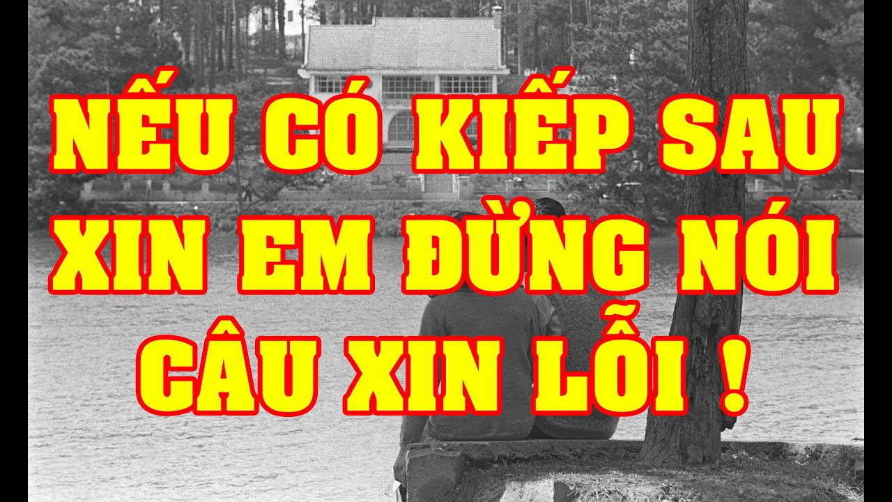 Nếu Có Kiếp Sau, Xin Em Đừng Nói Câu Xin Lỗi ! - Tài Nguyễn Diễn Đọc
