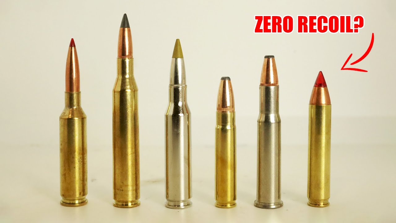 Top 6 Low Recoil Hunting Cartridges YouTube
