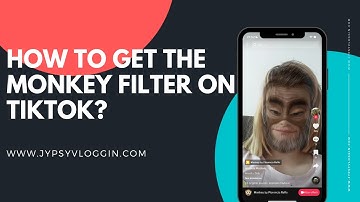 How to get the Monkey filter on TikTok