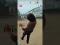 This is End #comedy #cricketlover #funnyvideo