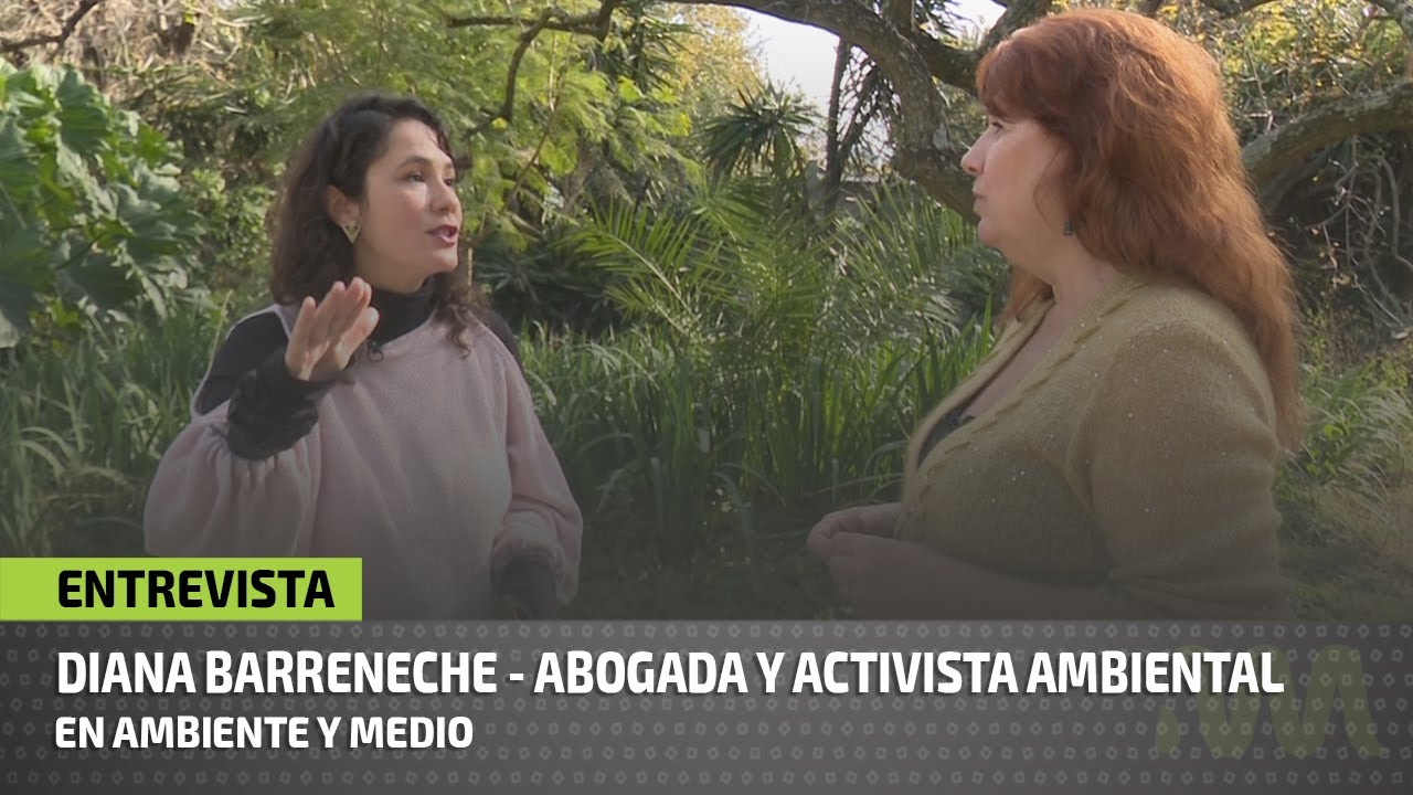 🌿¿Cómo y para qué se utiliza el cáñamo?🌿