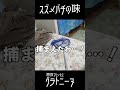 これはもう侵略行為じゃん…