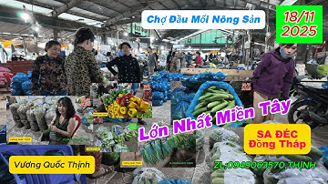 Chợ SA ĐÉC,Đồng Tháp 18/11/2025 bán sỉ rau củ quả lớn nhất miền tây