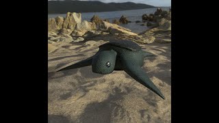 Tea in Blender: World Turtle Day