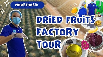 Food Processing Factory Tour | Inside a Dried Fruit Factory in Vietnam | Processed food documentary
