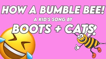 "How A Bumblebee" by: Boots + Cats | Funny Bumble Bee Song! | Try Not To Laugh