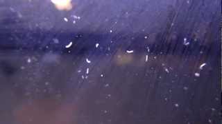 What are these white worms? Net Worth