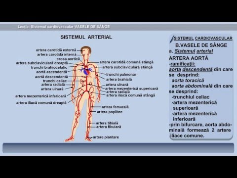 Video: Angiopatia Extremităților Inferioare, Angiopatia Hipertensivă A Vaselor De Sânge