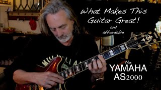 What Makes This Guitar Great and affordable