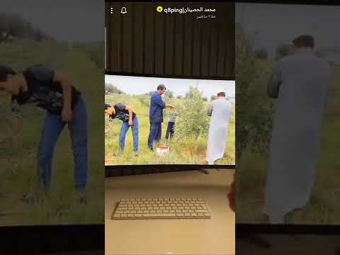 الزيتون الأبيض النادر في ليبيا