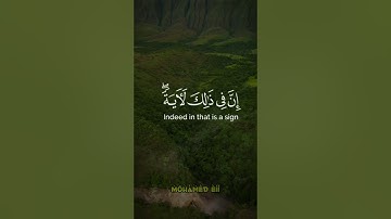 فأنجيناه ومن معه في الفلك المشحون // ما تيسر من #سورة_الشعراء -الآية 119 🎧🎧