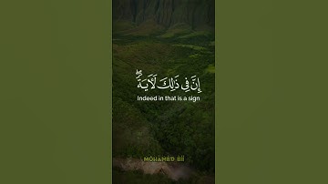فأنجيناه ومن معه في الفلك المشحون // ما تيسر من #سورة_الشعراء -الآية 119 🎧🎧