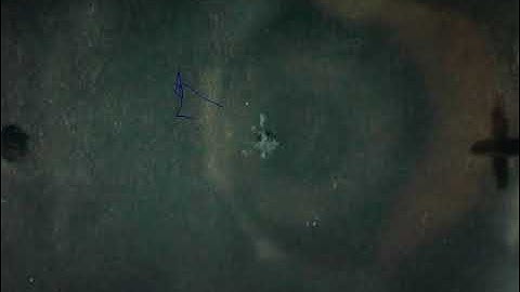 C. elegans nematode orienting in the ABSENCE of magnetic fields (control for magnetic orientation) 1