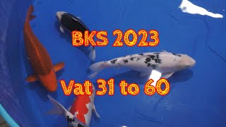 BKS 2023 vat 31 to 60 by Aquatechnobel 428 views 8 months ago 25 minutes