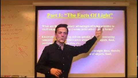 The Human Eye Part 1A Lecture by Nestor Matthews