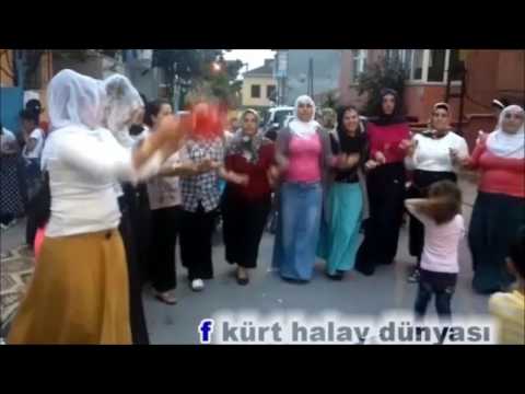 (Kürtçe) HAREKETLİ HALAY YENİ 2017