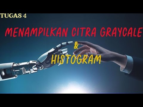 Tutorial menampilkan gambar citra Grayscale dan Histogram di python ...