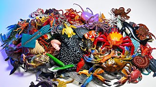 Sea Animals - Crab, Coconut Crab, Clownfish, Squid, Manta Ray, Marble Ray, Jellyfish, Sea Horse