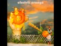 Electric Orange - Errorman