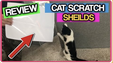 Furniture Protectors from Cat Scratch  REVIEW