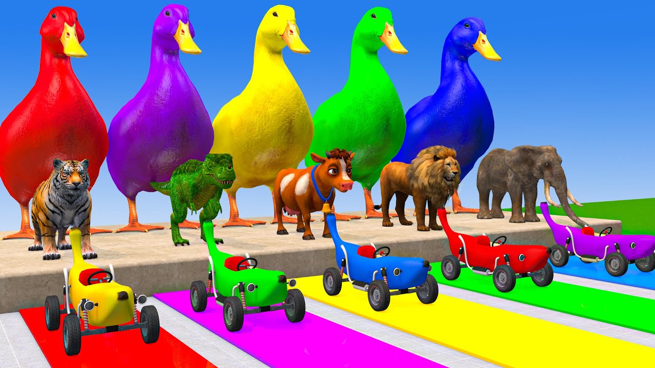 Long Slide Game With Cow Elephant Gorilla Hippopotamus Tiger 3d Animal Game Funny 3d Animals