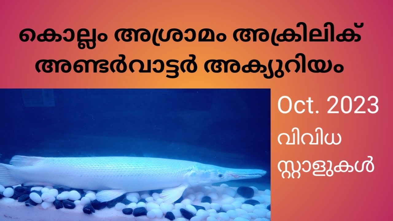 Acrylic Under water Tunnel Aquarium Kollam.2023 YouTube