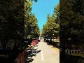 From Summer to Fall, real quick #shortsvideo #viral #shorts #shortschallenge #youtube #youtuber