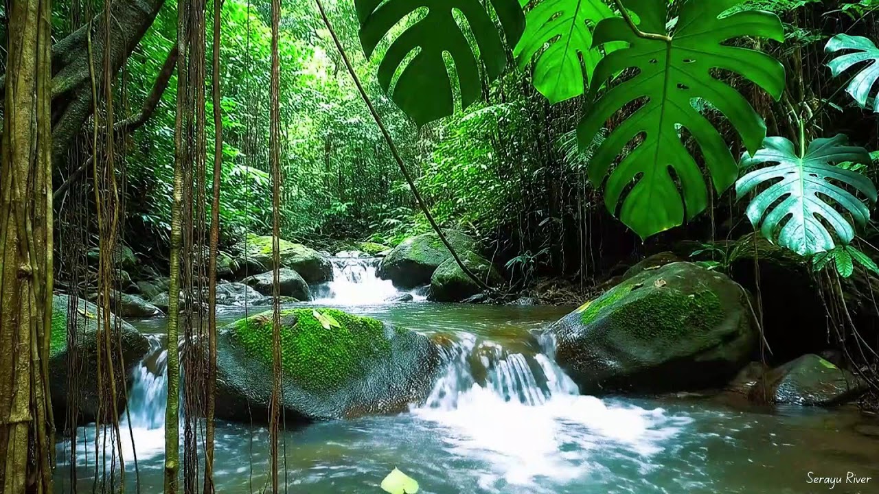 Mountain River Flowing Sounds | Nature Sounds White Noise | Flowing Water for Deep Sleep, Relaxing