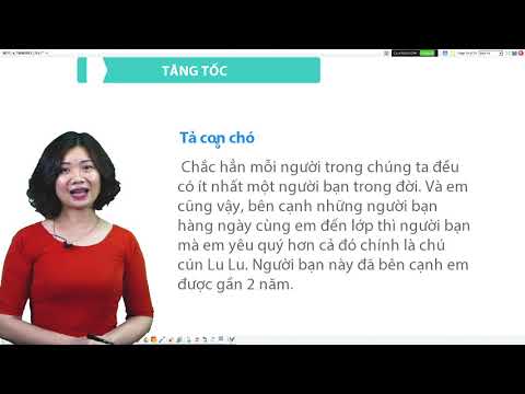 Tập làm văn 4 - Luyện tập xây dựng mở bài, kết bài trong bài văn miêu tả con vật (Tuần 32)