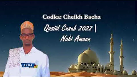 caynia cheik Bacha