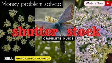 Shutterstock | shutter stock how to make money |shutterstock earning | complete guide|