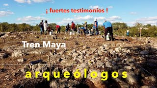 Fuertes testimonios de arqueólogos en el tramo 5 del Tren Maya