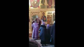 Папа в Томске на Литургии в Богоявленском соборе. Зоечка его возит.