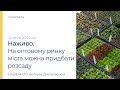Білгород-Дністровський: розсаду можливо придбати на оптовому ринку