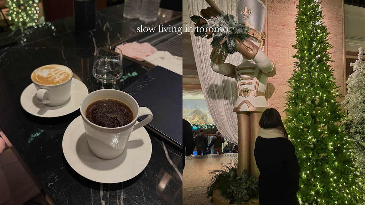 slow living in toronto | wrapping up the year. remember to get your flu shot.