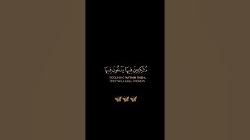 سورة ص / القارئ ريان المحيسني / تلاوة خاشعة تريح سمعك