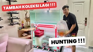 FINALLY‼️ FILLING THIS ALL-GLASS AQUARIUM WITH FISH - ADDING MORE TO THE @JAMMVLOG HEADQUARTERS C...