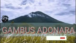 GAMBUS ADONARA terbaru 2021#ntt#florestimur#adonara#