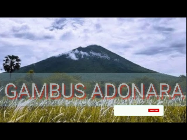 GAMBUS ADONARA terbaru 2021#ntt#florestimur#adonara# class=