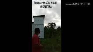 SP Walet Nusantara Ampuh Untuk Mendatangkan Koloni