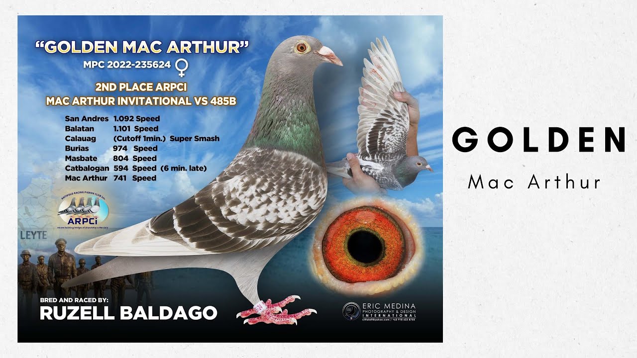 LOFT VISIT KAY IDOL RUZELL BALDAGO PART 2 |Reggie Cruz Loft & Aviary #reggiecruzloftandaviary